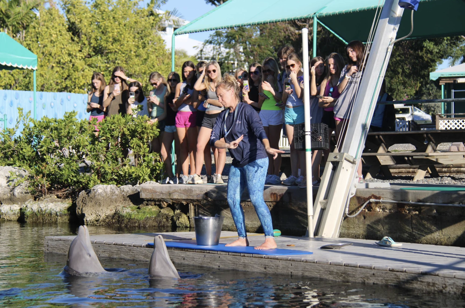 DOL_760x550_Educational field trips at our natural seawater facility in the Florida Keys can include__01-min